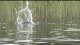 Wake video HD
