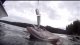 Wake Fishing